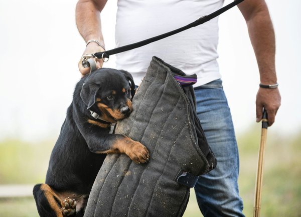 How can you ensure that your vehicle's safety systems are compatible with child safety seats?